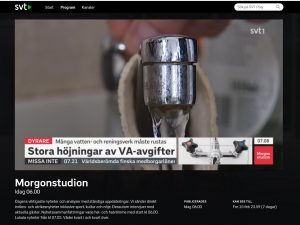 Screenshot_SVT_morgonstudion_8feb2019_VA-branschen_2
