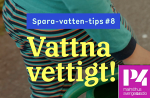 Barn i pyjamas bär en vattenkanna. Text Vattna Vettigt. Logga SR P4.