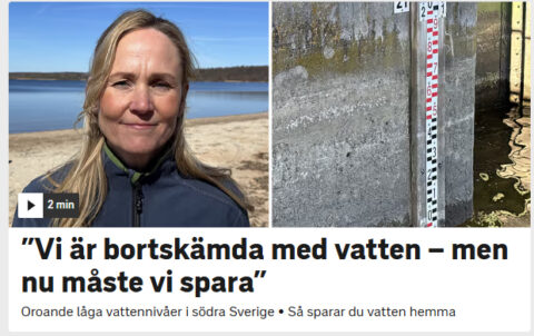 Skärmklipp från nyhetsinslag på Rapport, 12 mars 2026