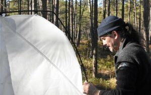Juha Rankinen sätter upp insektsfällan för Lifeplan